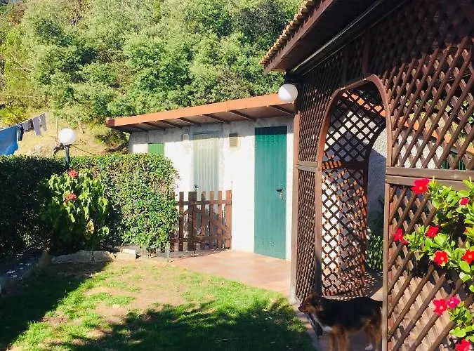House Apartman *